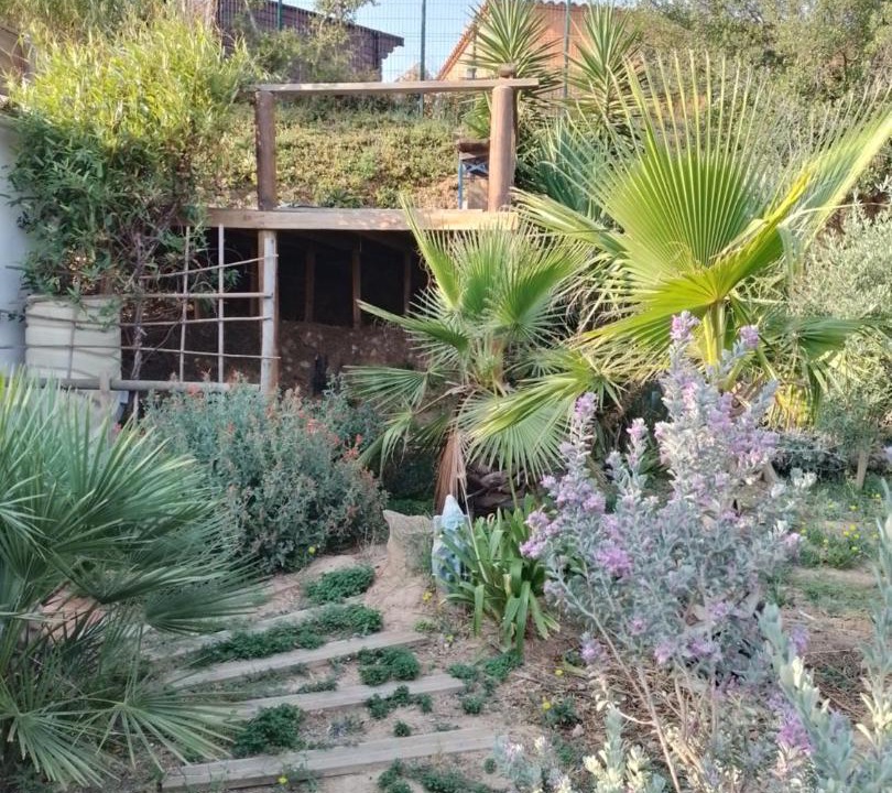Photo of Others in Lezignan-Corbieres