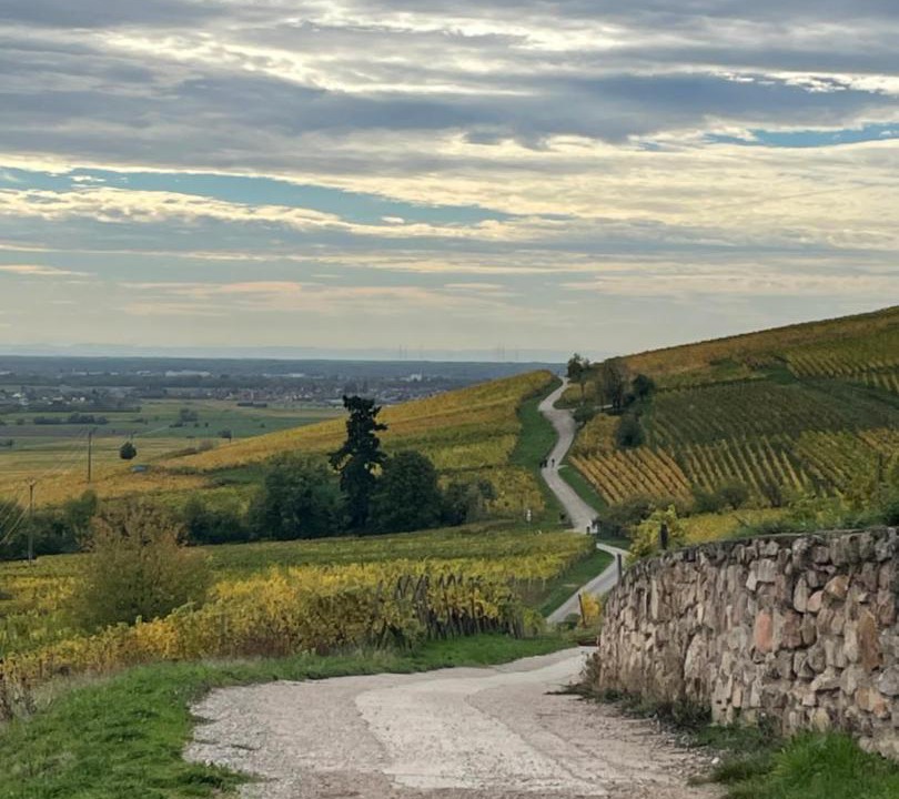 Photo of Others in Dambach-la-Ville