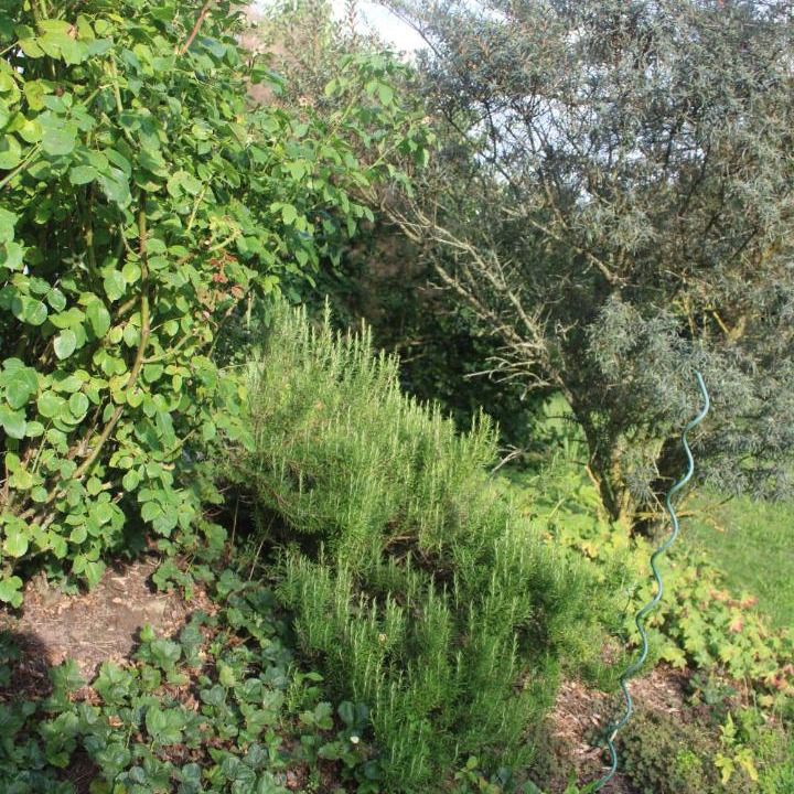 Photo of Outdoor in Wunnewil-Flamatt