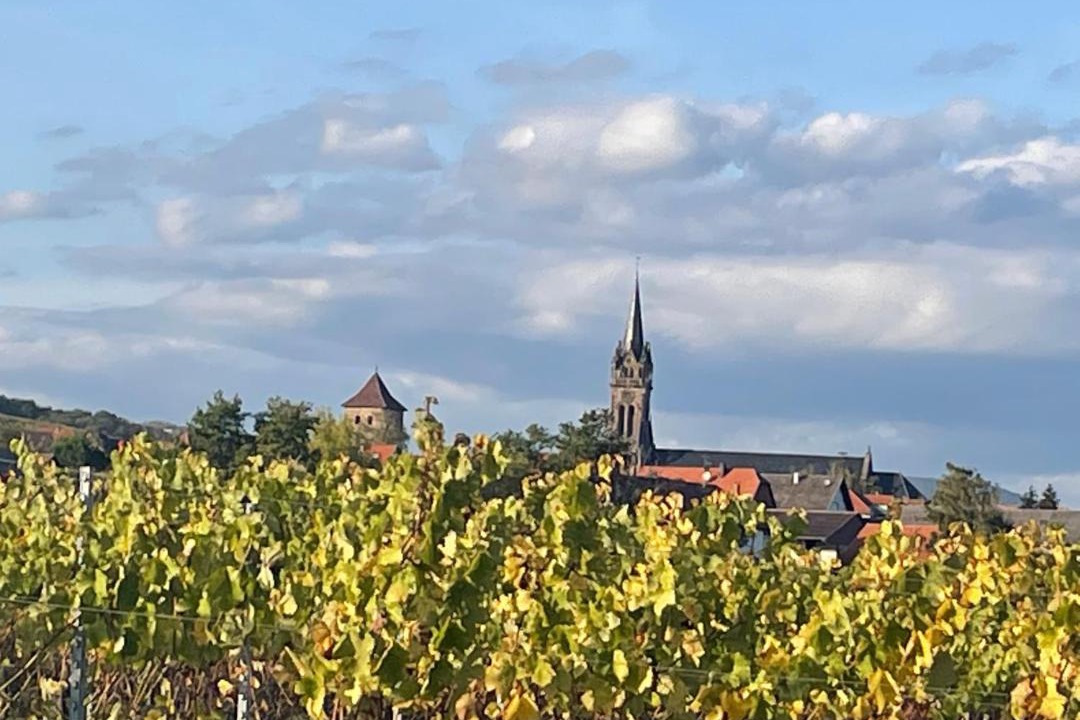 Photo of Others in Dambach-la-Ville