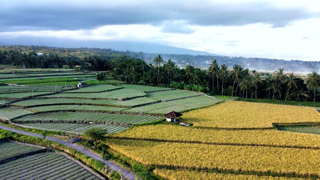 Photo of Others in Lombok