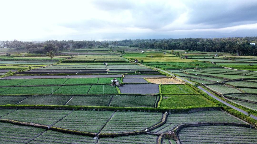 Photo of Others in Lombok