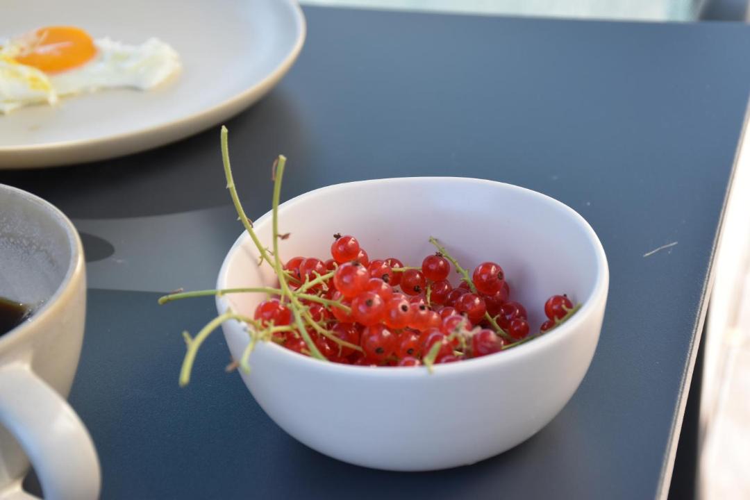 Photo of Others in Nouzilly