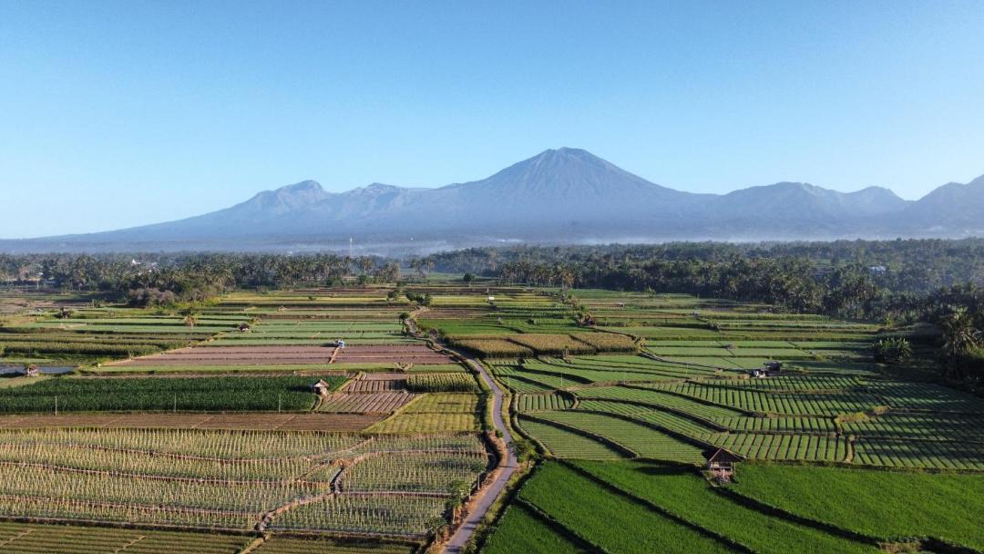 Photo of Others in Lombok