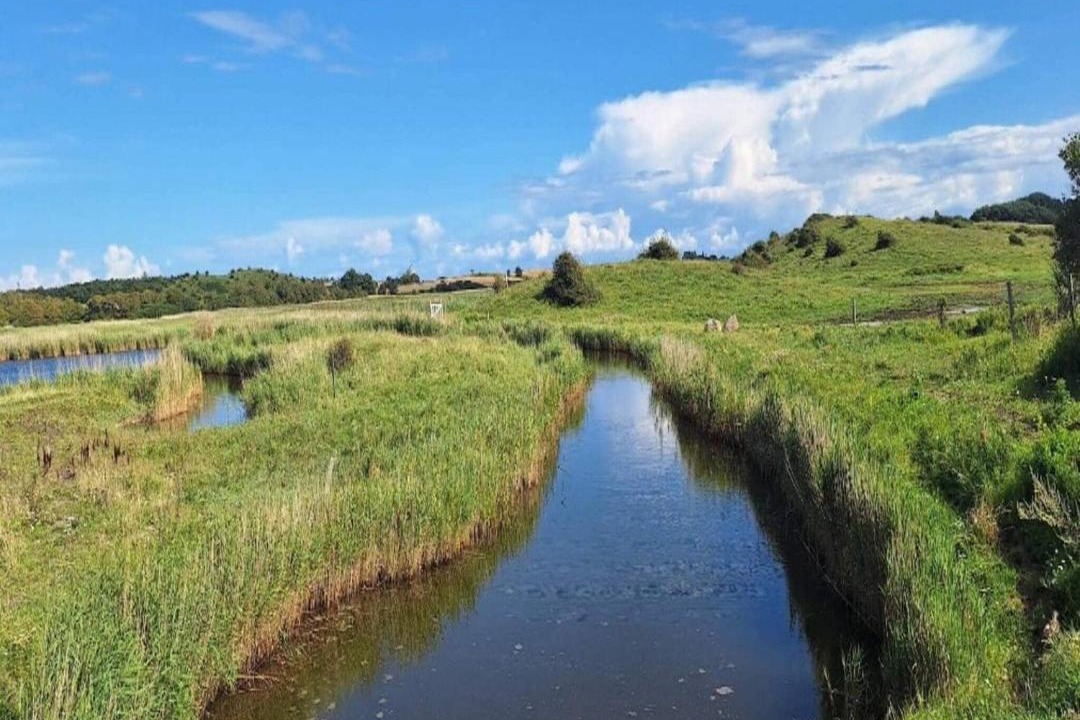 Photo of Others in Hejlsminde Strand