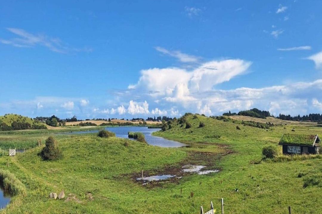 Photo of Others in Hejlsminde Strand