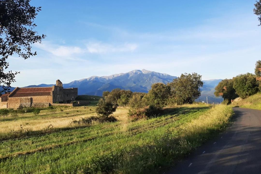 Photo of Others in Arboussols