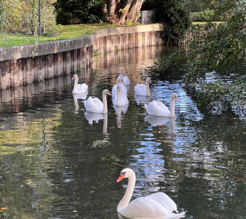 Photo of Others in Menilles