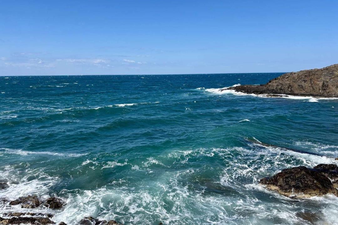 Photo of Others in Collioure