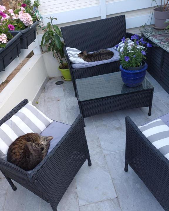 Photo of Patio Balcony in Gorron