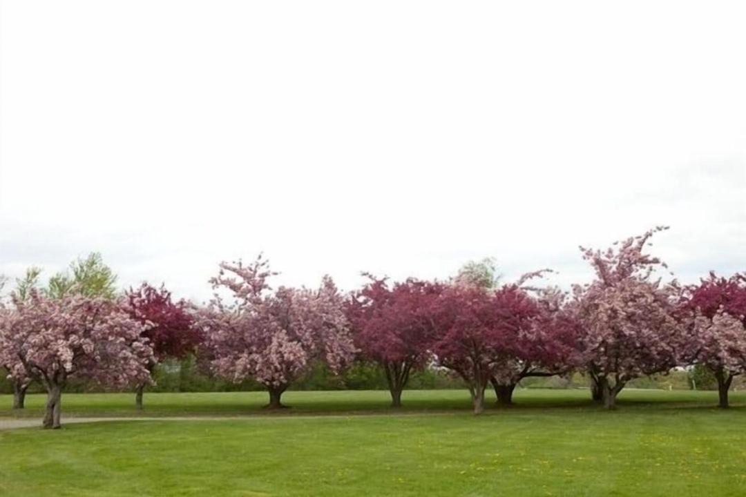 Photo of Others in Town of Yates