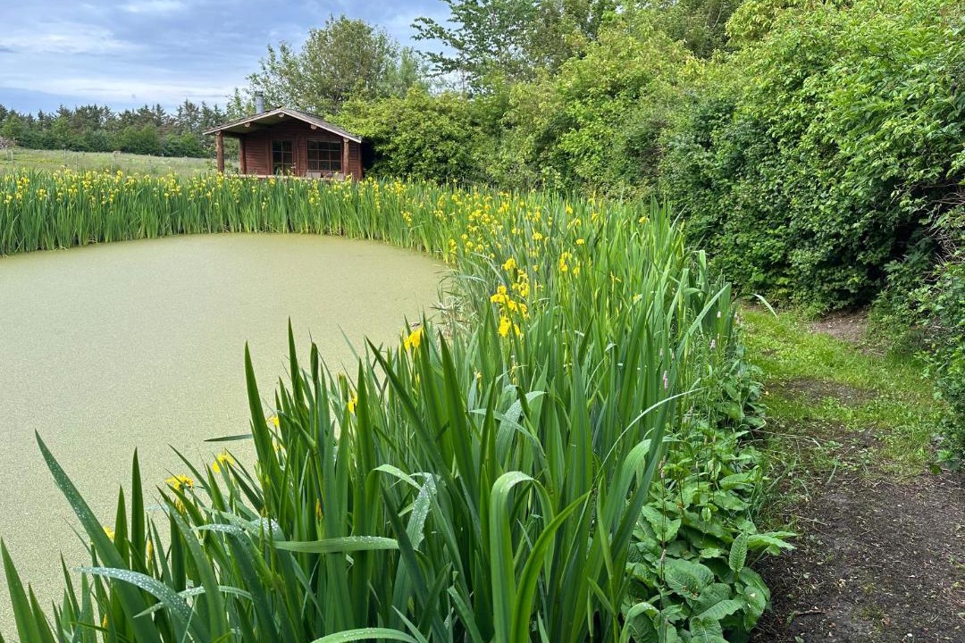 Photo of Others in Degnbøl
