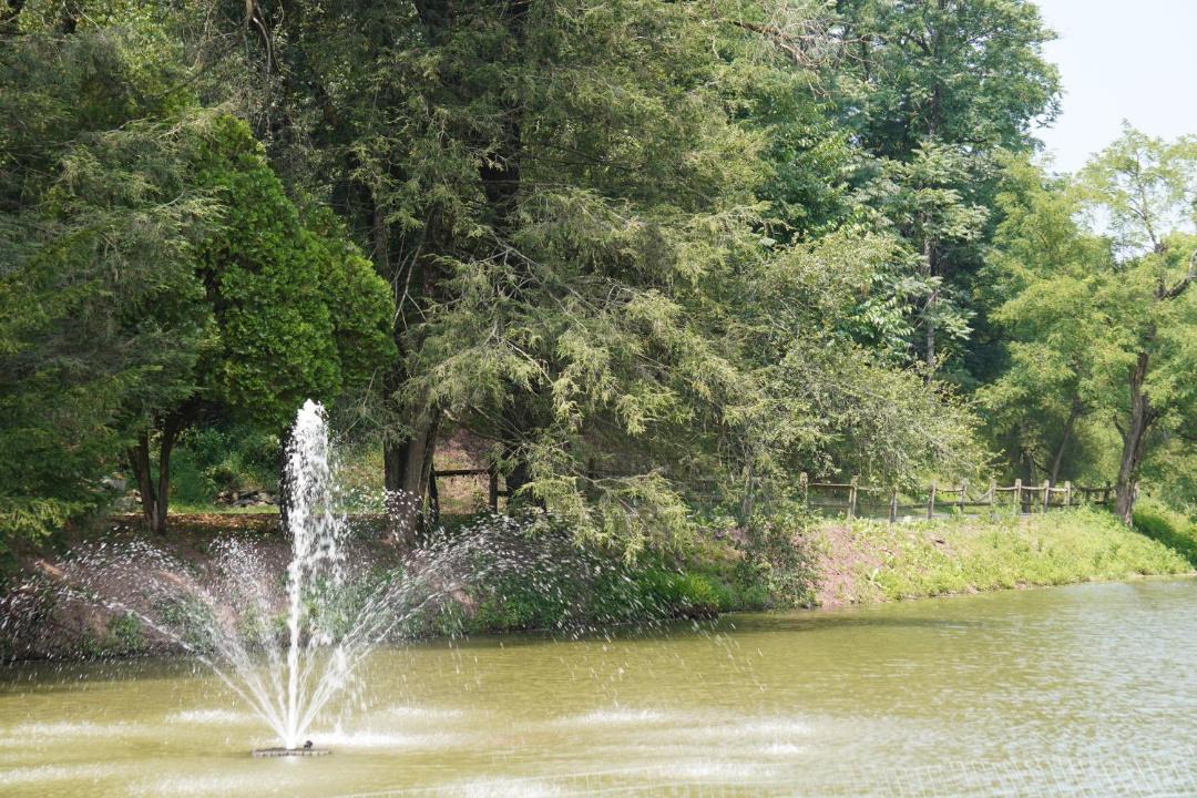 Photo of Others in Colonial Park