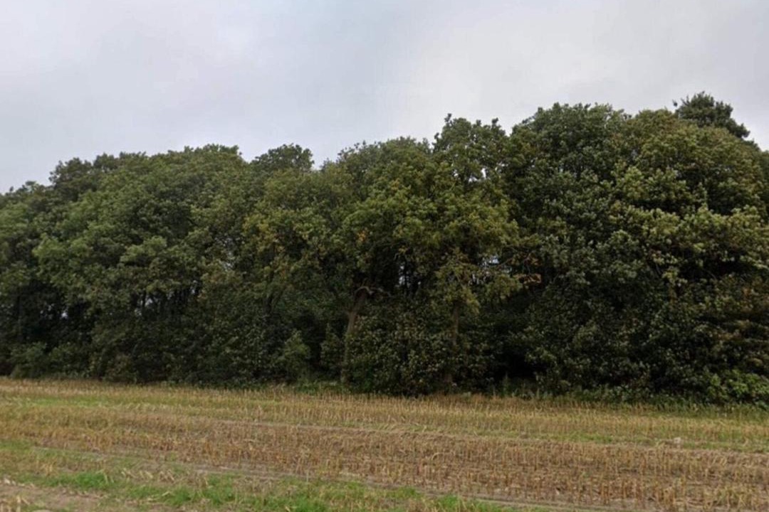 Photo of Others in Hovborg