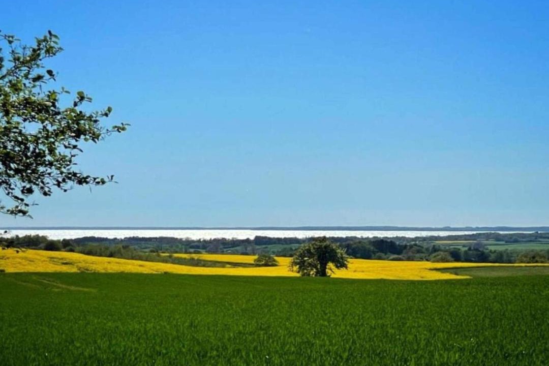 Photo of Others in Borre