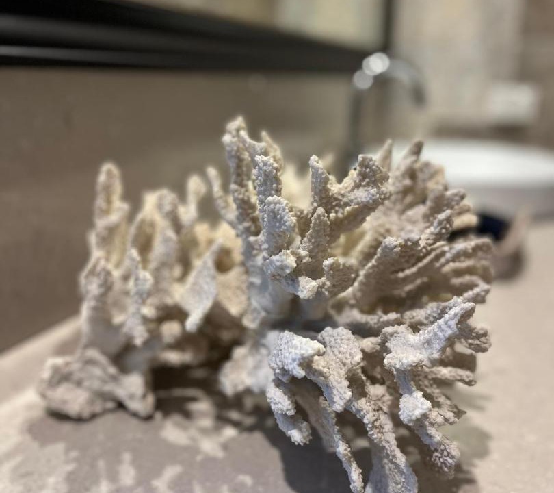 Photo of Bathroom in Berrima