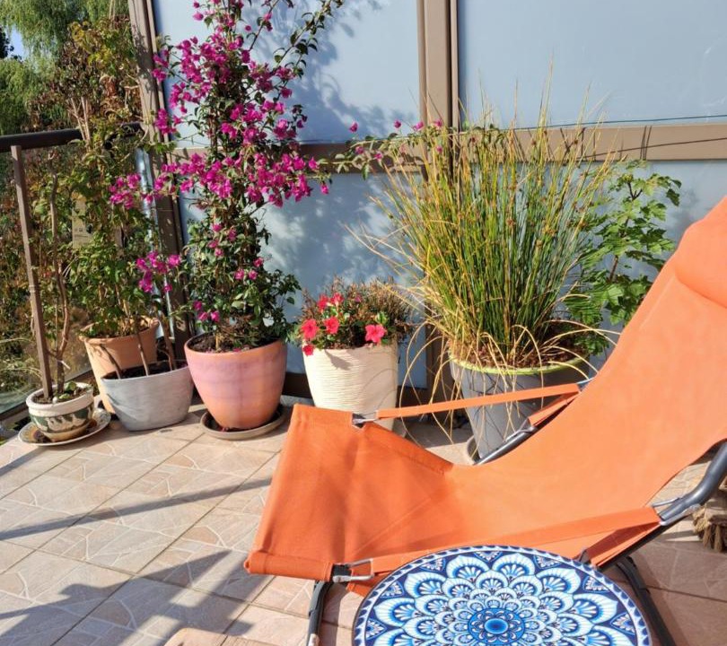 Photo of Patio Balcony in Saint-Martin-Boulogne