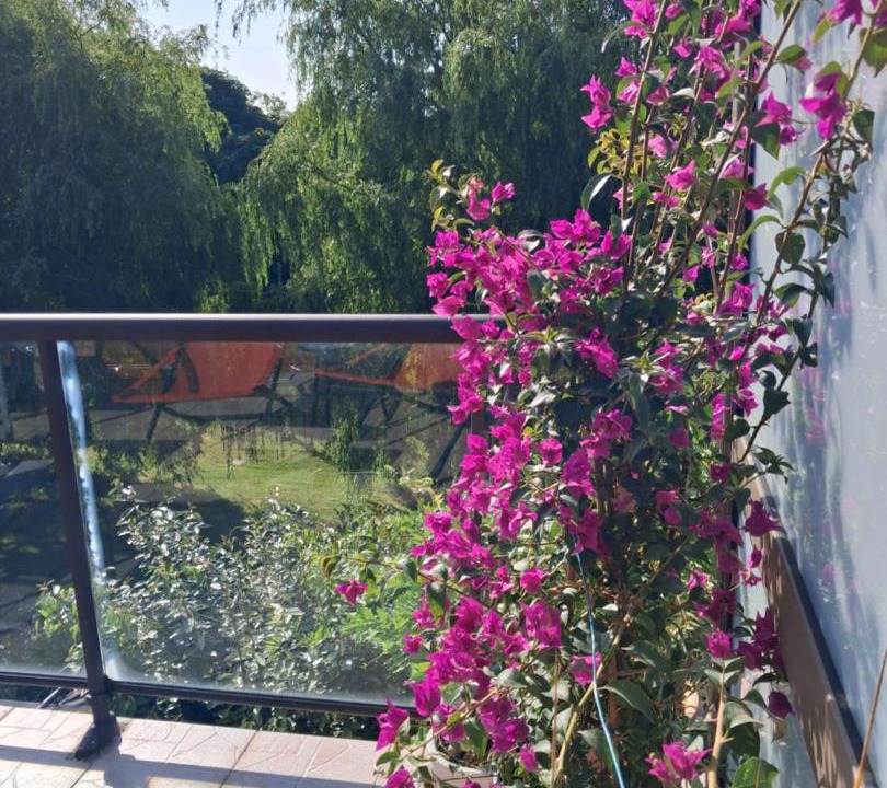 Photo of Others in Saint-Martin-Boulogne