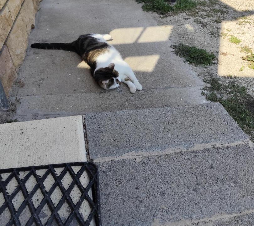 Photo of Others in Les Bordes