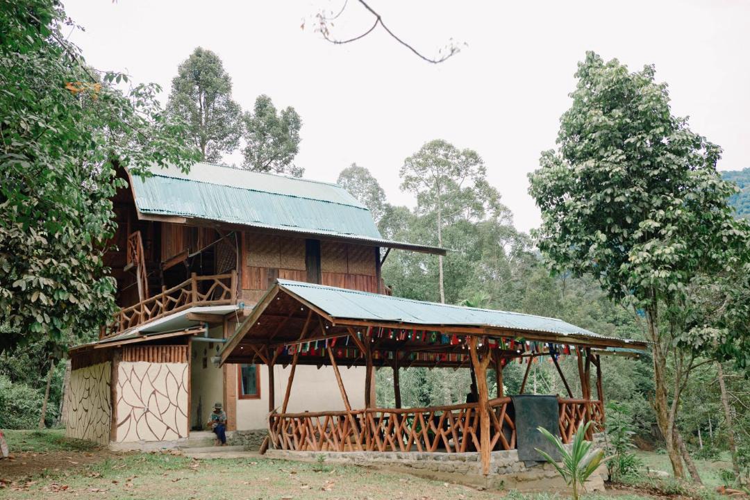 Photo of Others in Bohorok