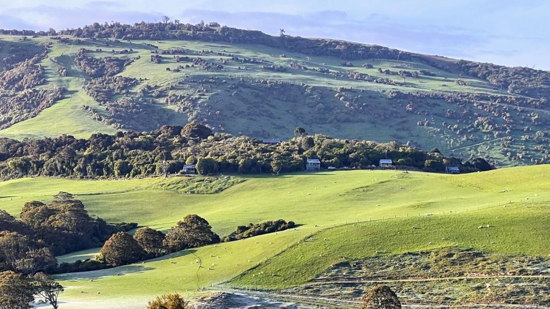 Photo of Others in Owaka