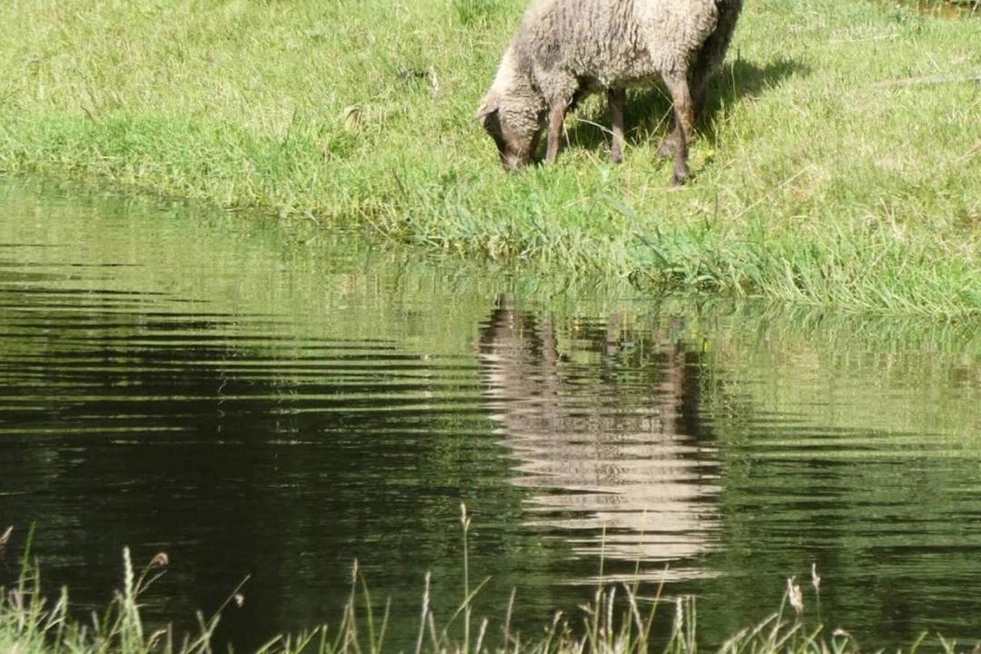 Photo of Others in Hovborg