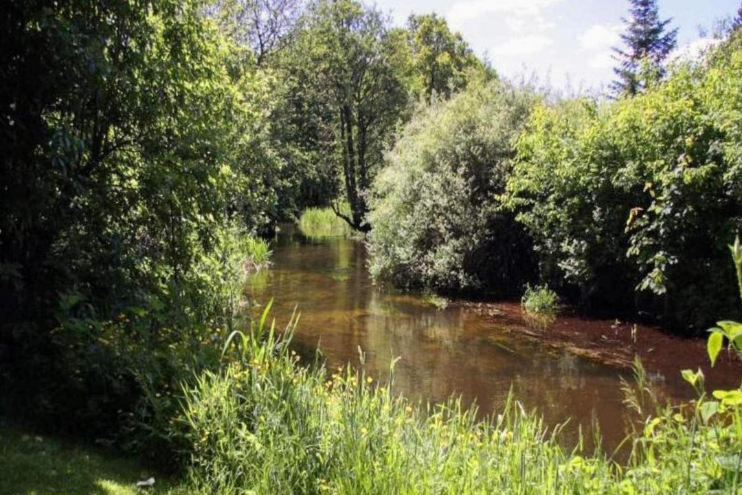 Photo of Others in Hovborg