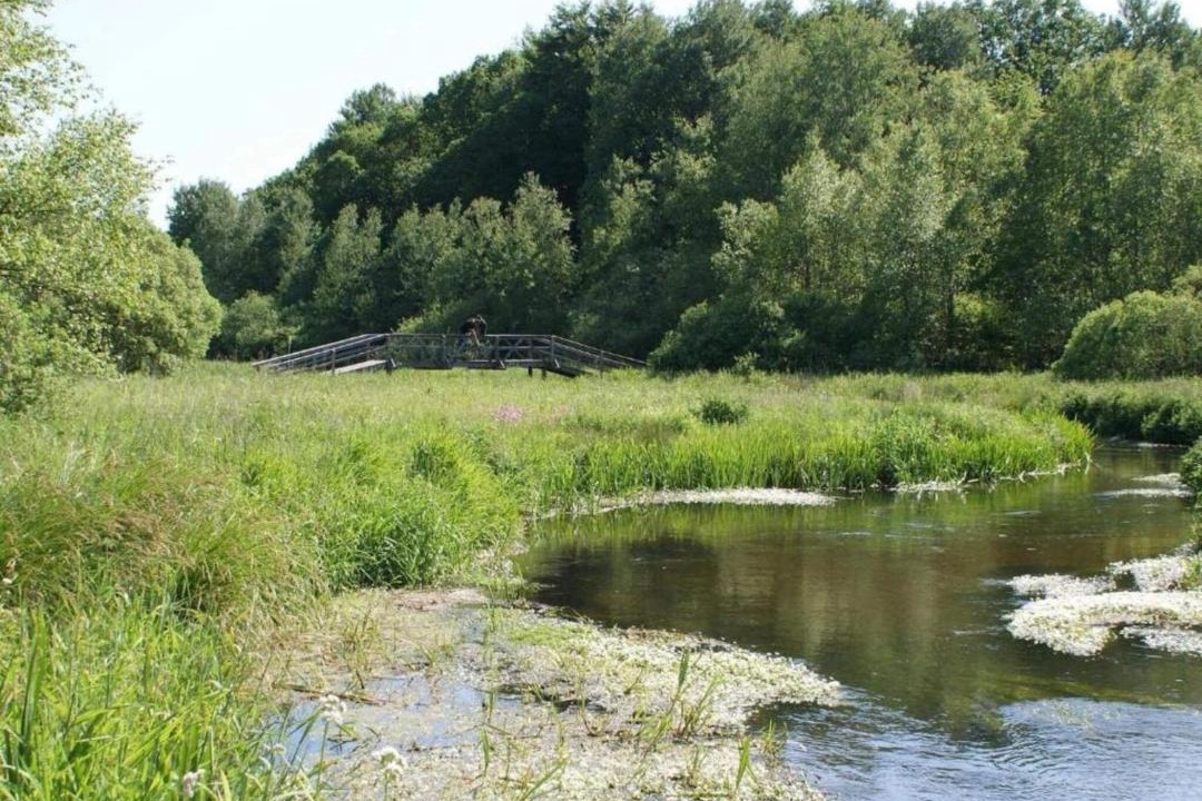 Photo of Others in Hovborg
