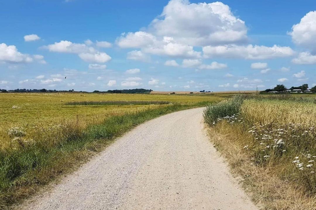 Photo of Others in Diernæs Strandby