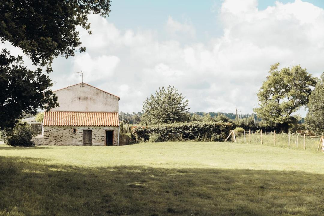Photo of Others in Cosse-d'Anjou