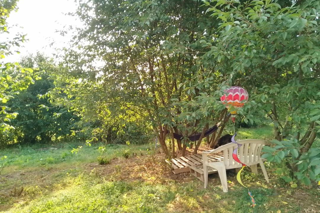 Photo of Others in Avressieux