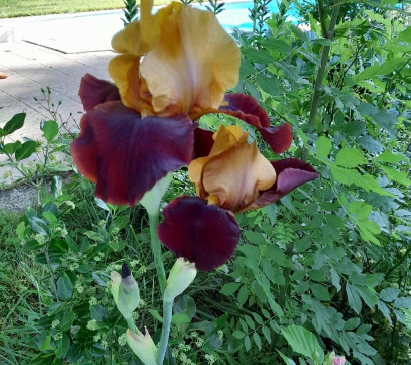 Photo of Outdoor in Saint-Leon-sur-Vezere