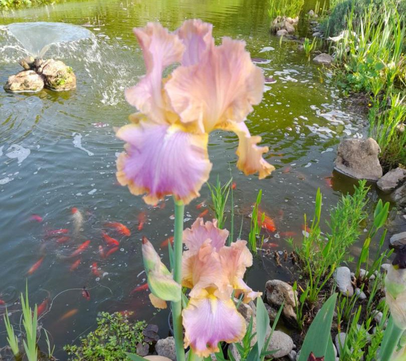 Photo of Outdoor in Saint-Leon-sur-Vezere