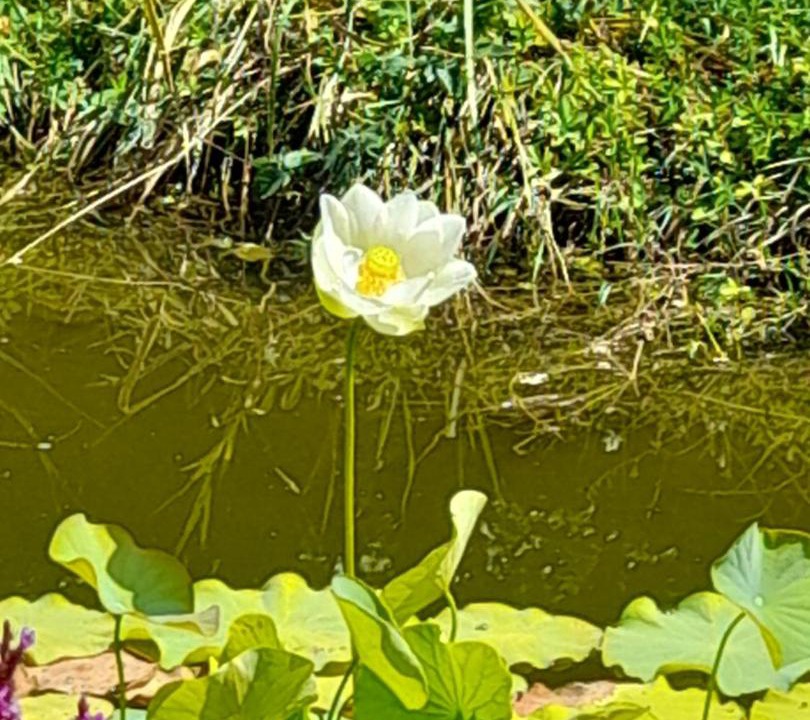 Photo of Others in Saint-Leon-sur-Vezere