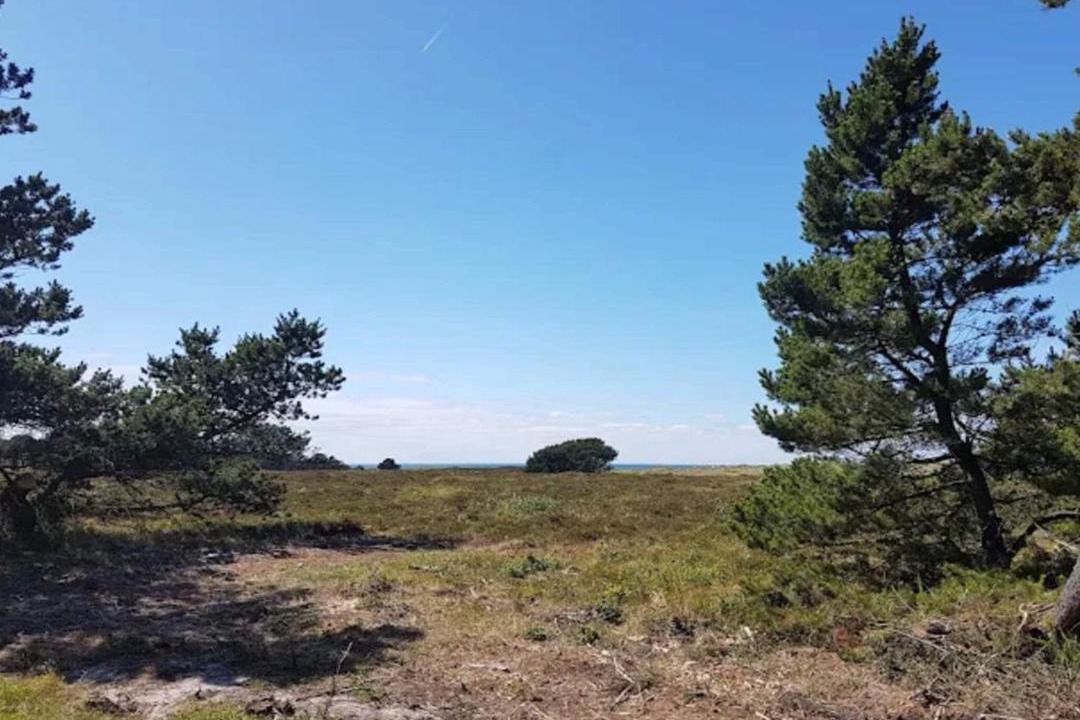Photo of Others in Læsø