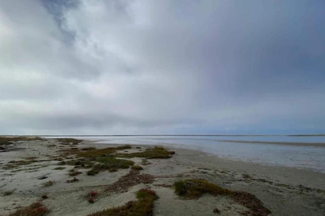 Photo of Others in Vestero Havn