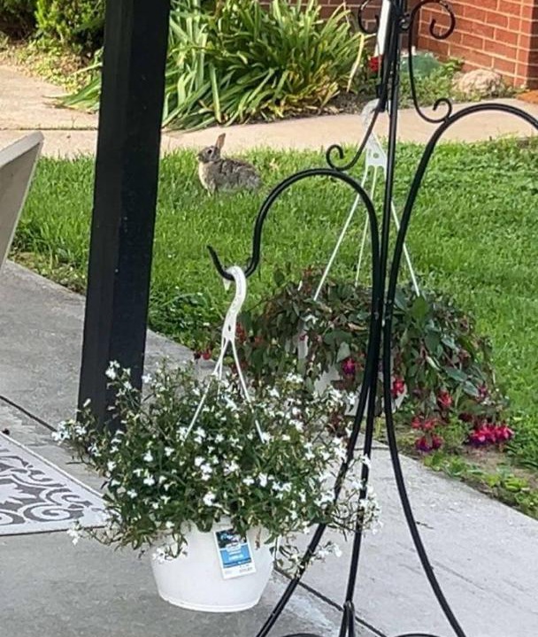 Photo of Others in Washington