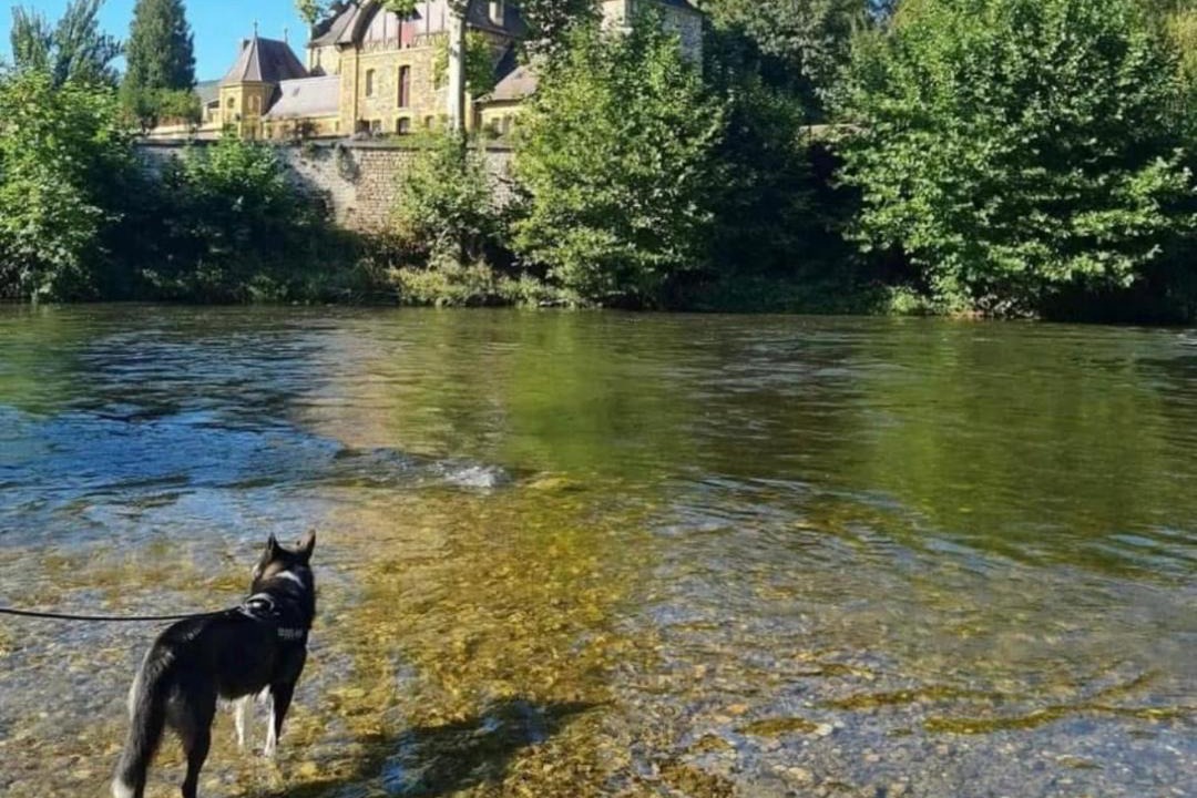Photo of Others in Montherme
