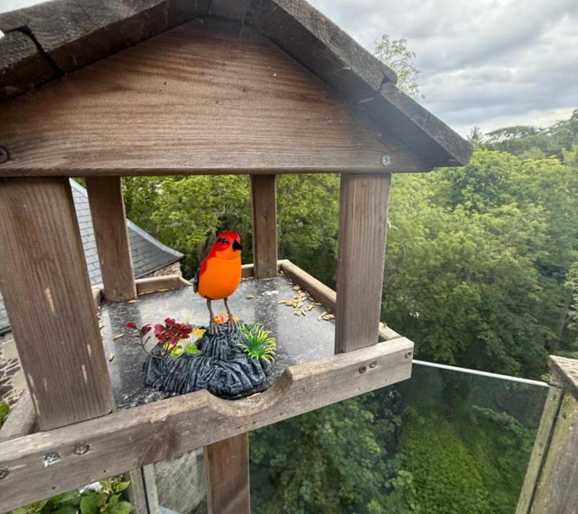 Photo of Others in Eyemouth