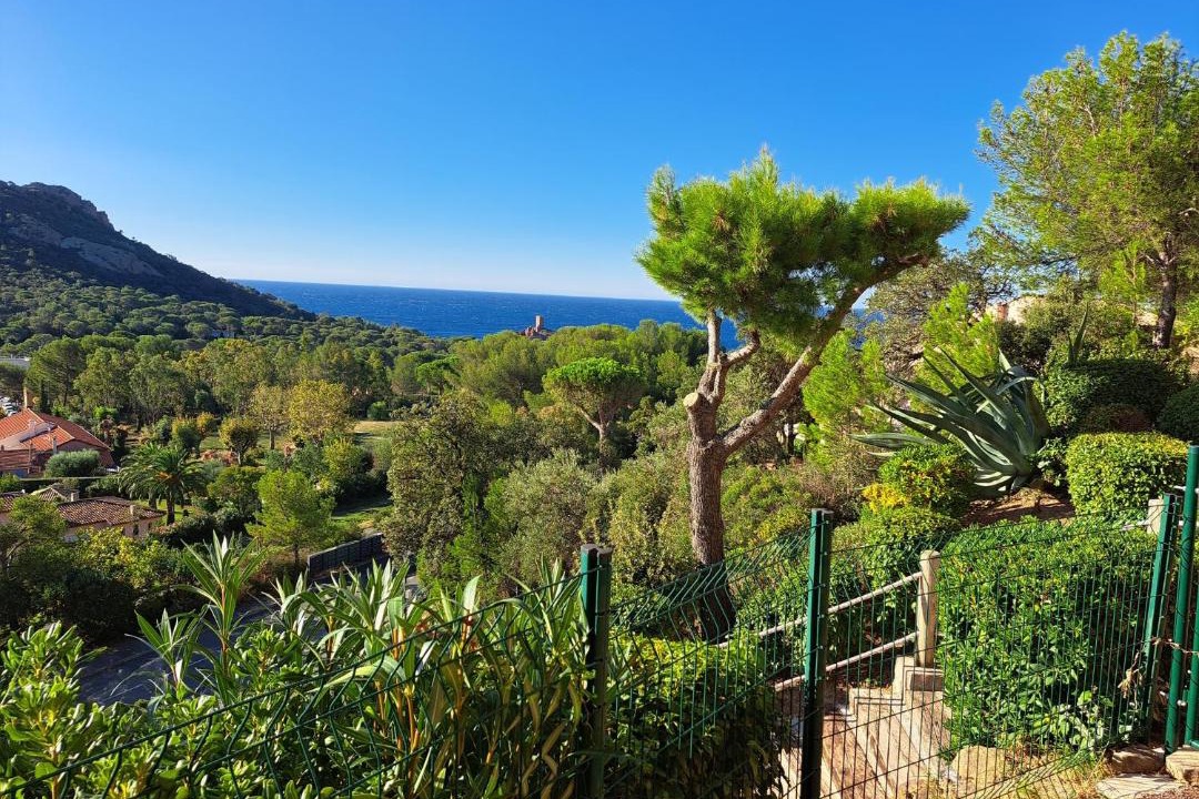 Photo of Others in Le Dramont