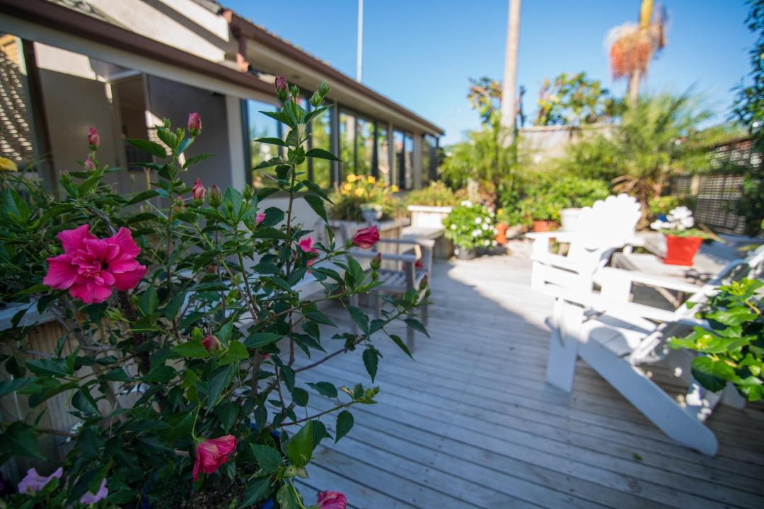 Photo of Others in Orakei