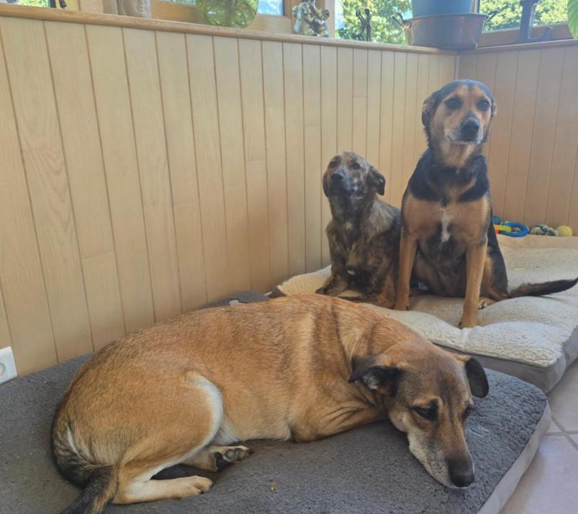 Photo of Others in Callac