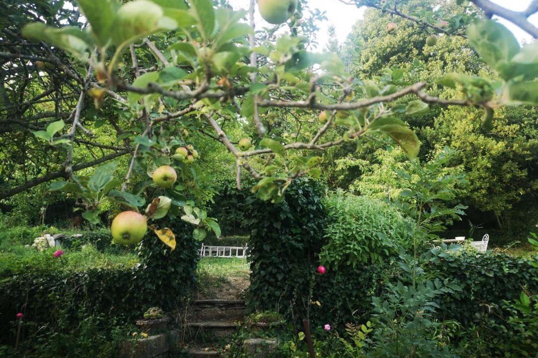 Photo of Others in Saint-Pons-de-Thomieres