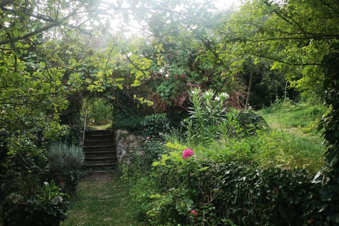 Photo of Others in Saint-Pons-de-Thomieres