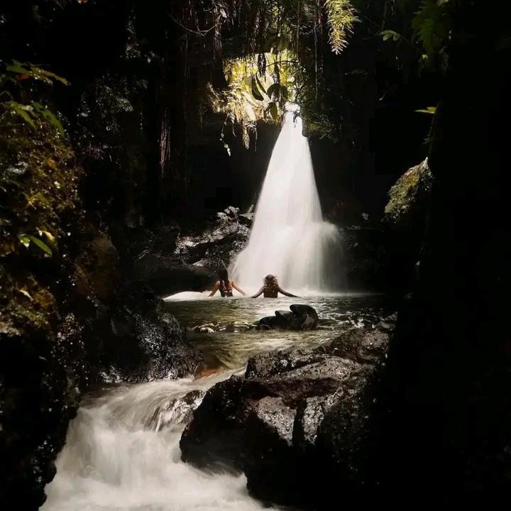 Photo of Others in Tetebatu