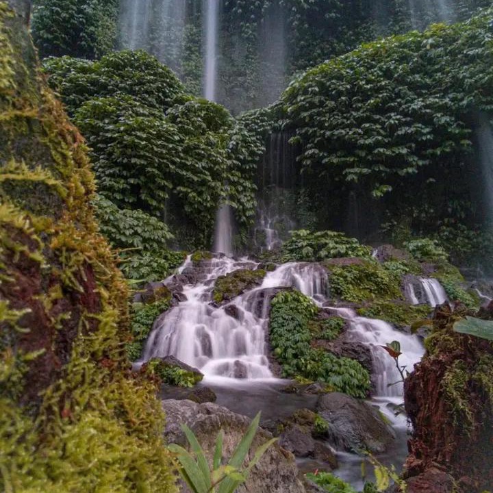Photo of Others in Tetebatu