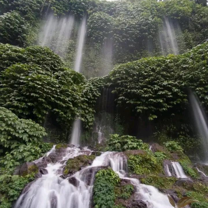 Photo of Others in Tetebatu