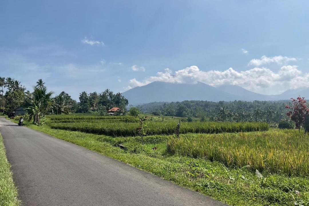 Photo of Others in Penebel