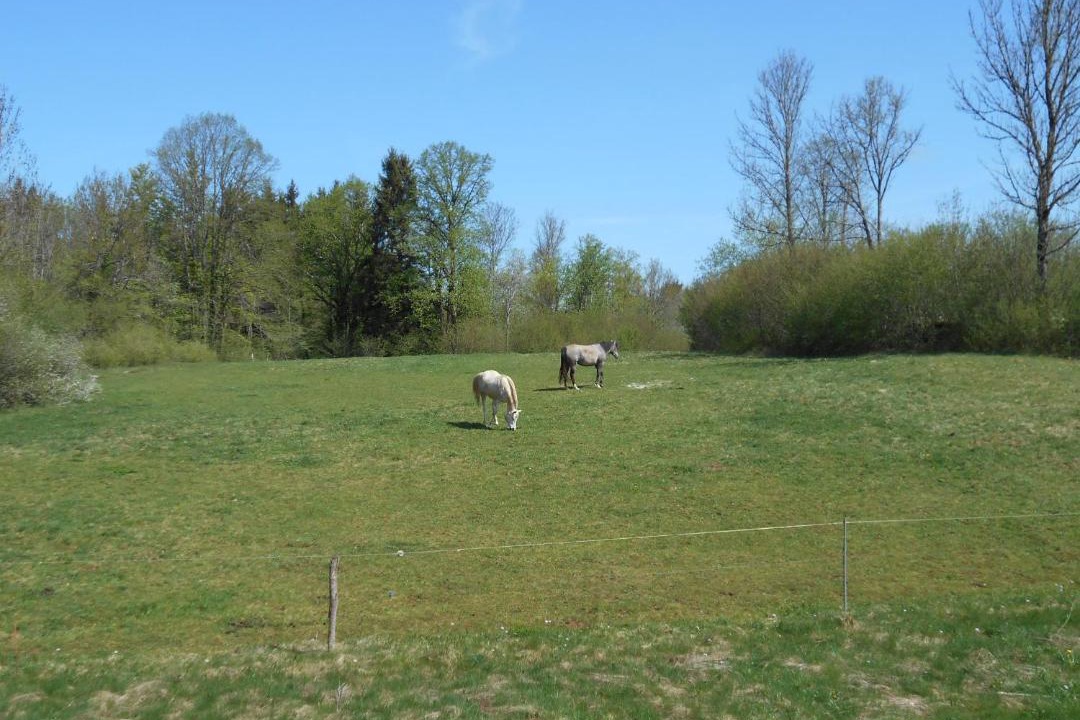 Photo of Others in Etival