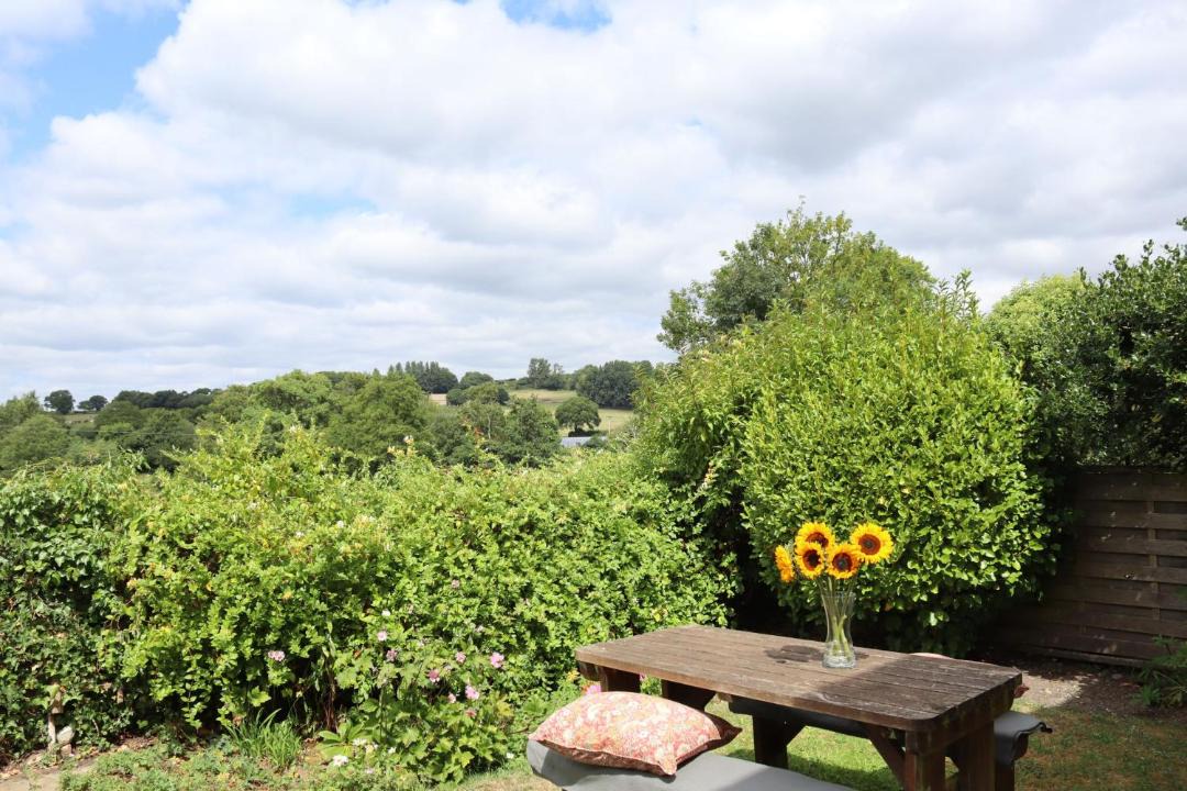 Photo of Others in Chard